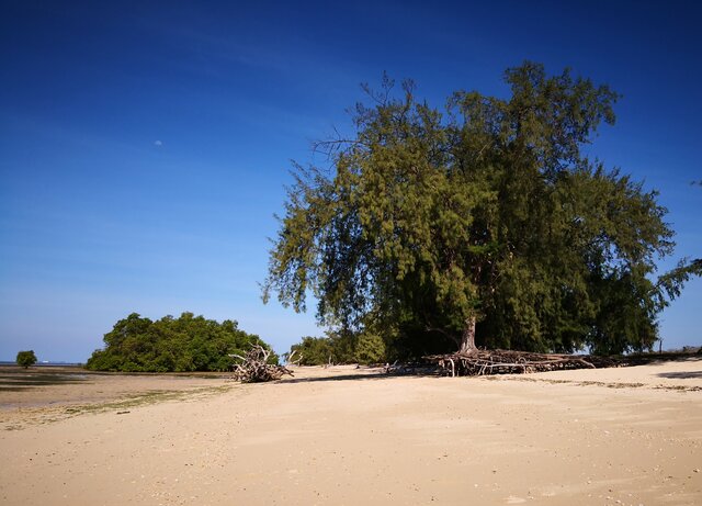 Sumba, Tanaraing, Rindi